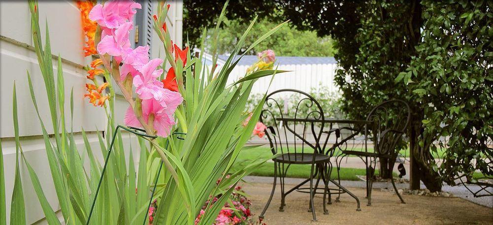 Arbor Guest House Napa Zewnętrze zdjęcie